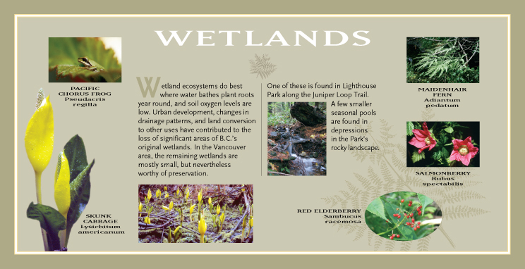 Wetland Sign from 2011